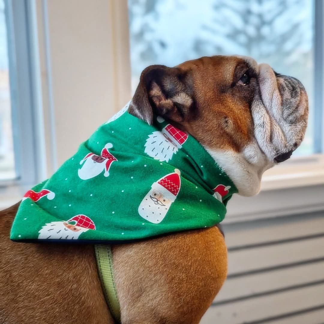 Glow In The Dark Santa Holiday Pet Bandana