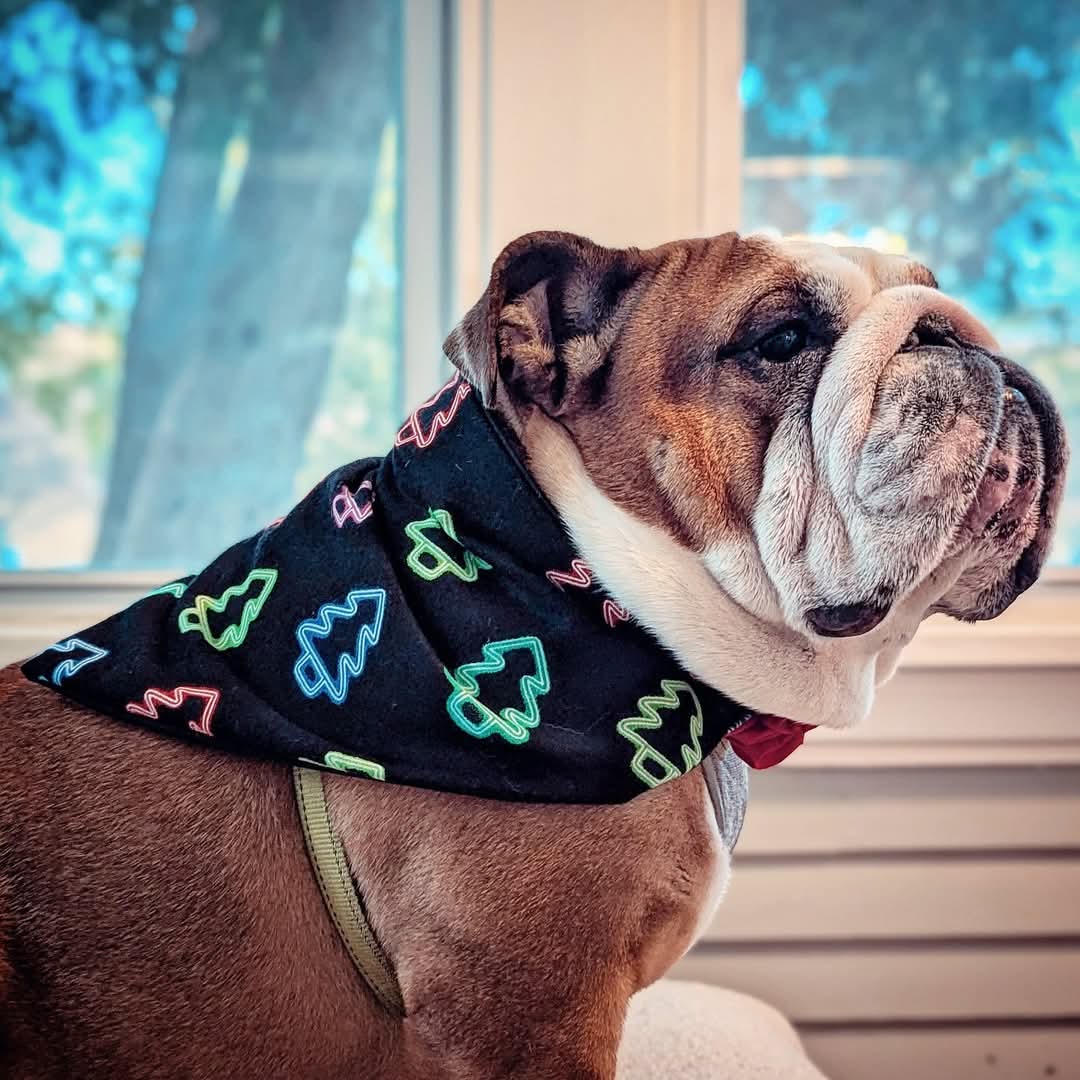 Glow In The Dark Holiday Tree Pet Bandana