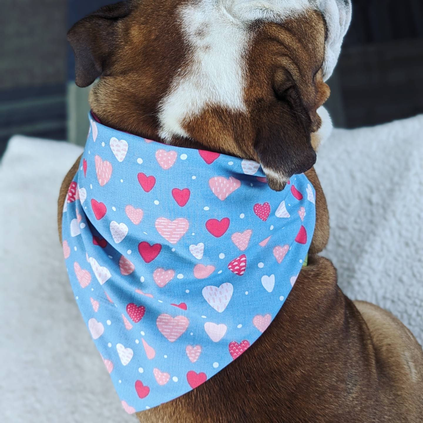 Blue & Pink Heart Pet Bandana