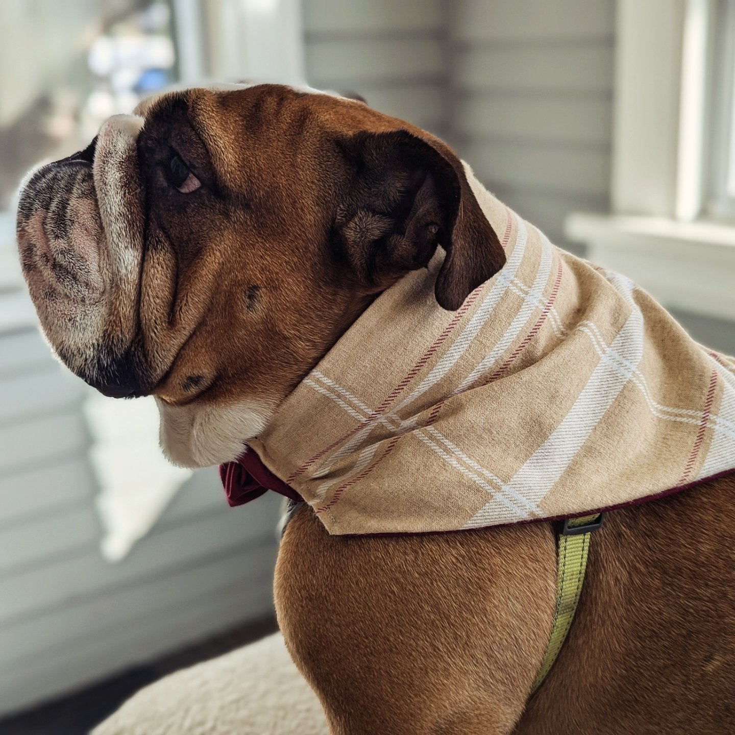 Winter Tan/Cranberry Plaid Flannel Pet Bandana