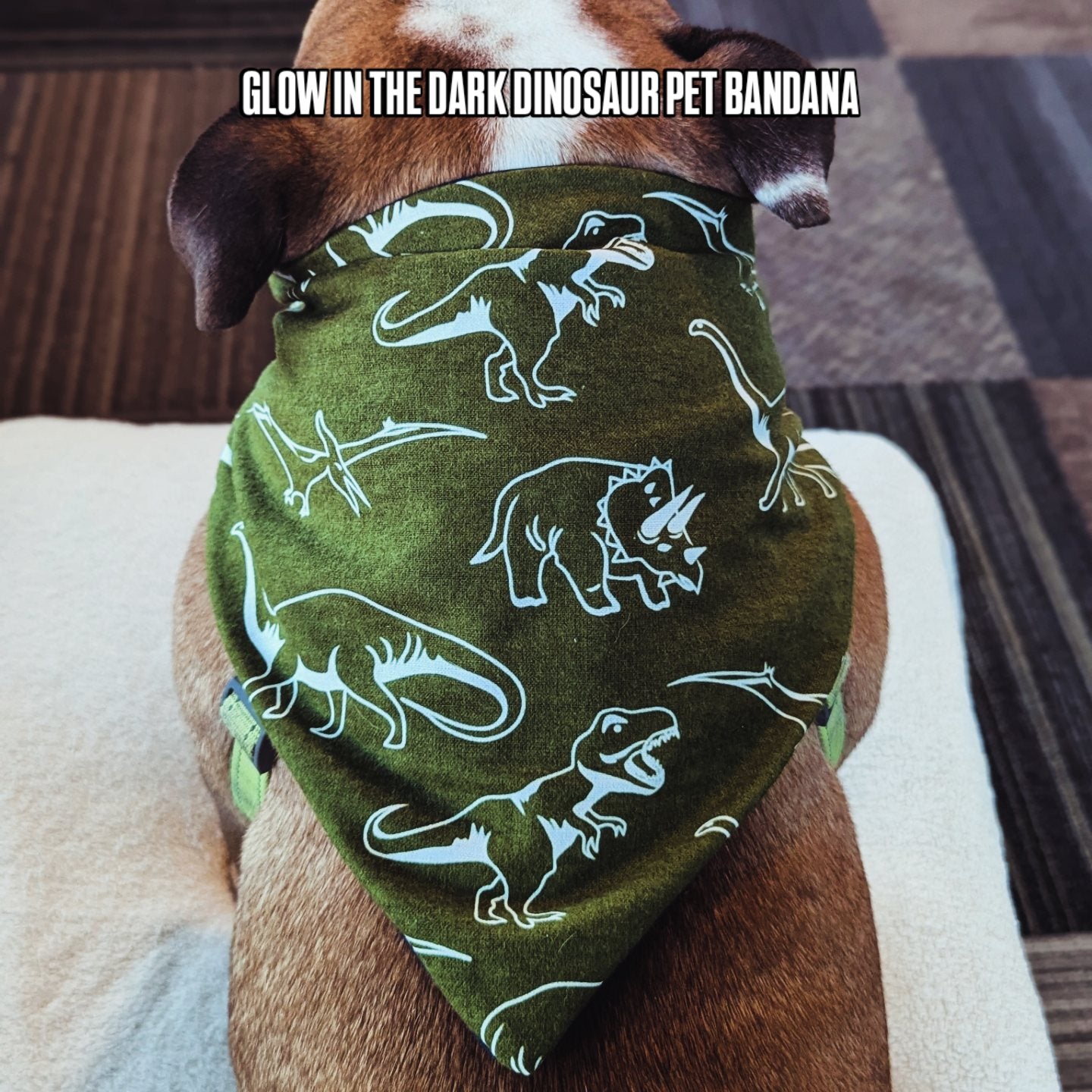 Glow In The Dark Dinosaur Pet Bandana