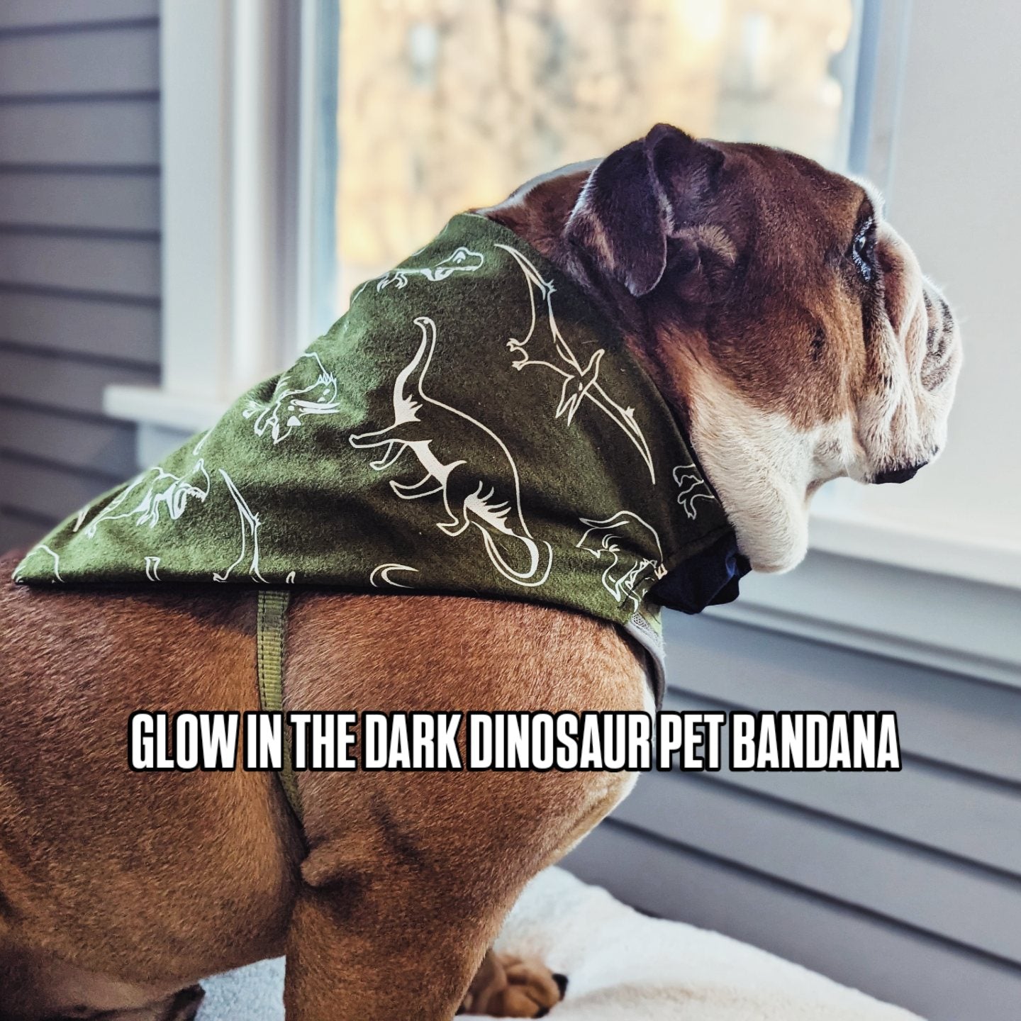 Glow In The Dark Dinosaur Pet Bandana