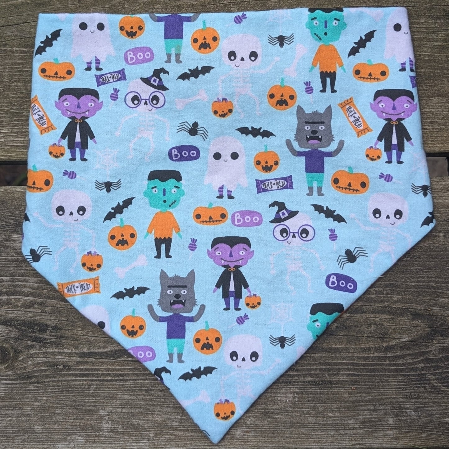 Halloween Party Pet Bandana
