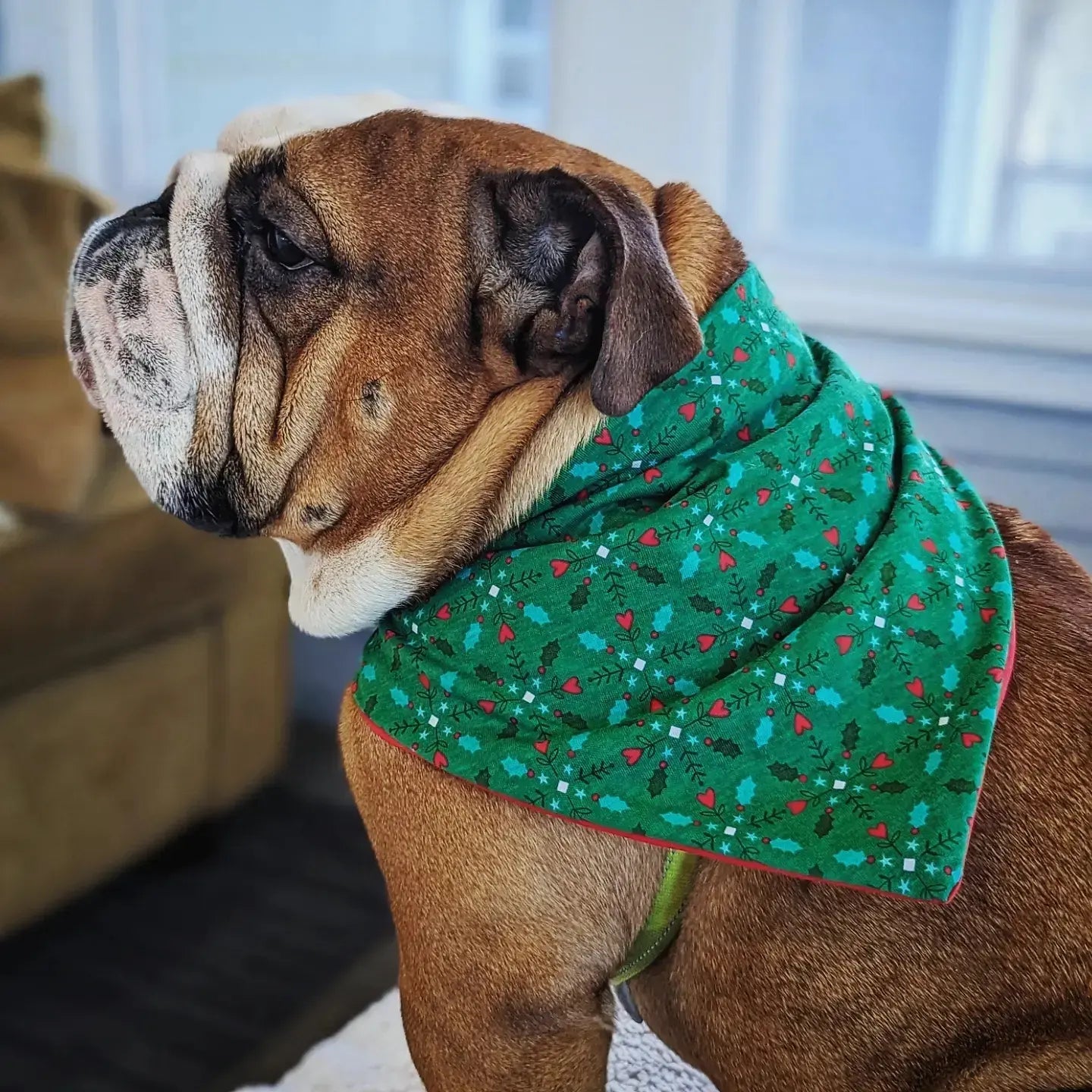 Holiday Christmas Heart Pet Bandana