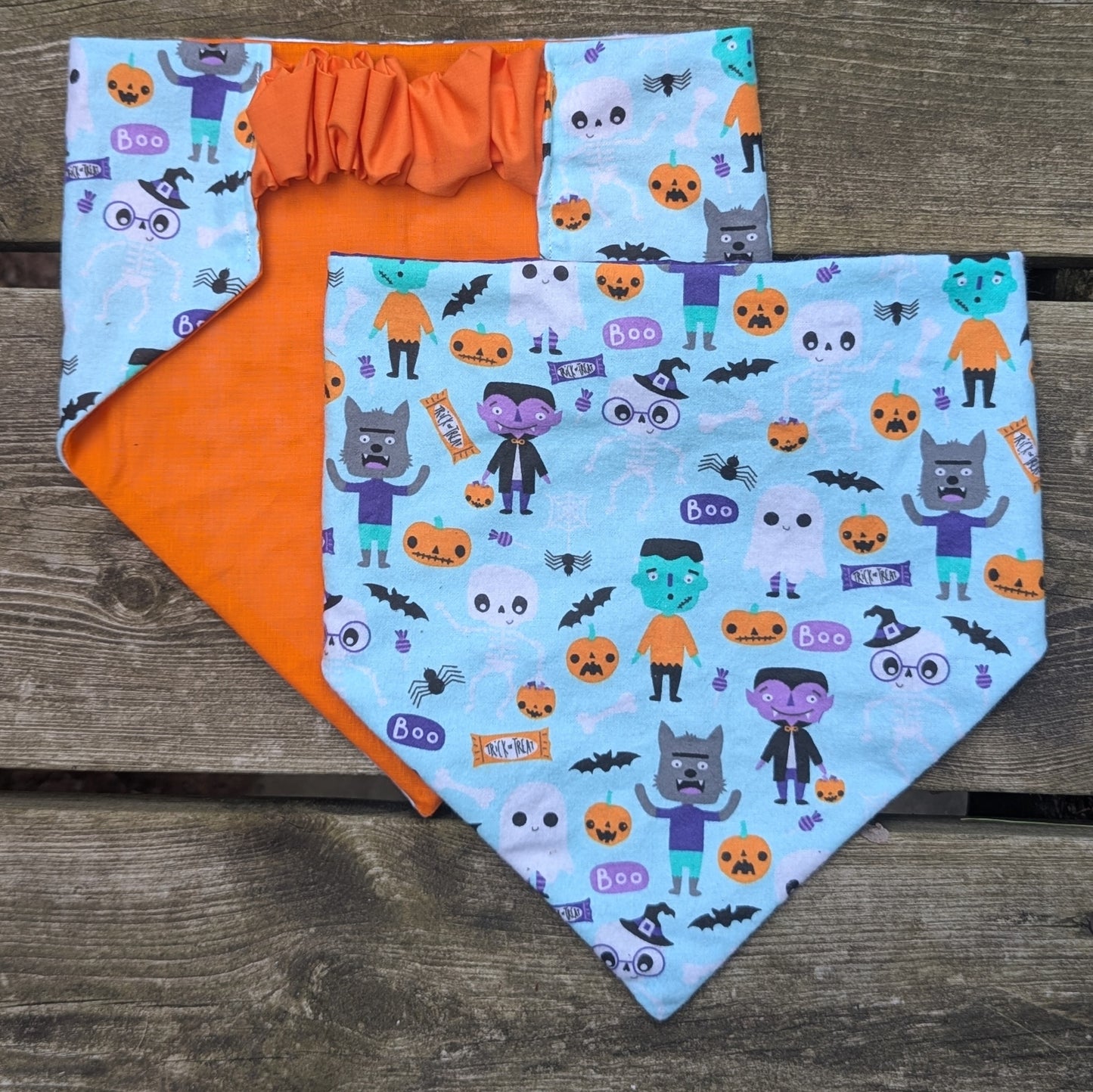 Halloween Party Pet Bandana