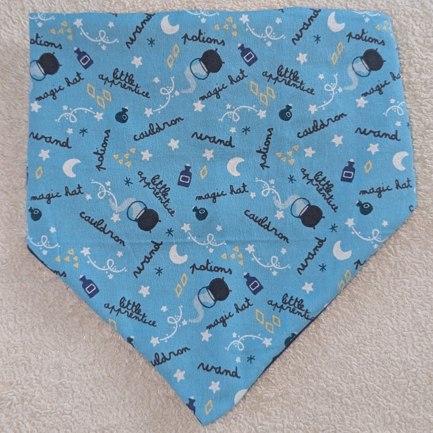 Witchy Fun Halloween Pet Bandana