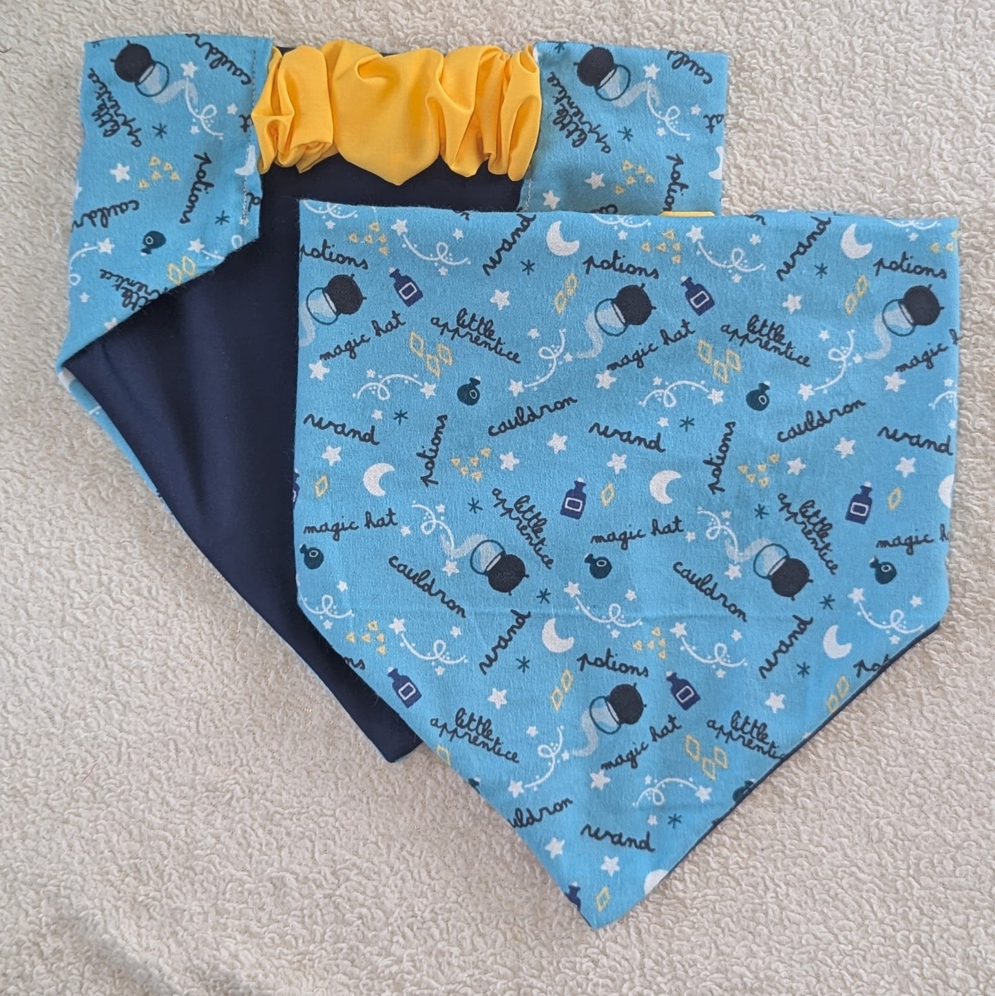 Witchy Fun Halloween Pet Bandana
