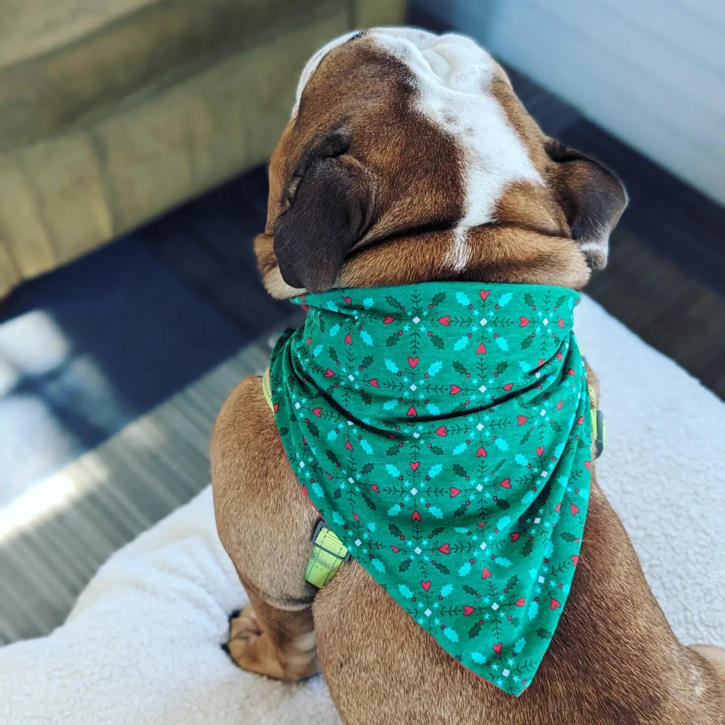 Holiday Christmas Heart Pet Bandana