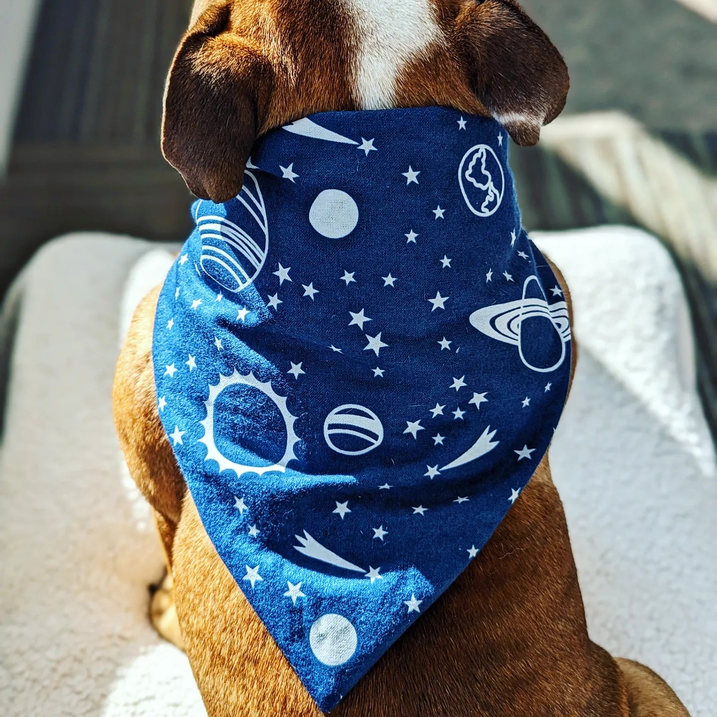 Glow In The Dark Space Flannel Pet Bandana