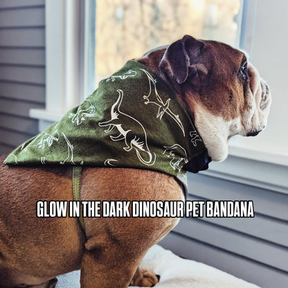Glow In The Dark Dinosaur Pet Bandana