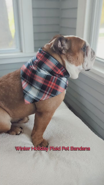 Winter Holiday Plaid Pet Bandana