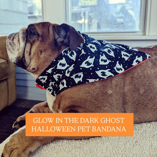 Glow In The Dark Ghost Halloween Pet Bandana