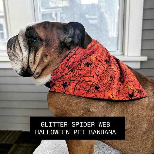 Glitter Orange Spider Web Halloween Pet Bandana