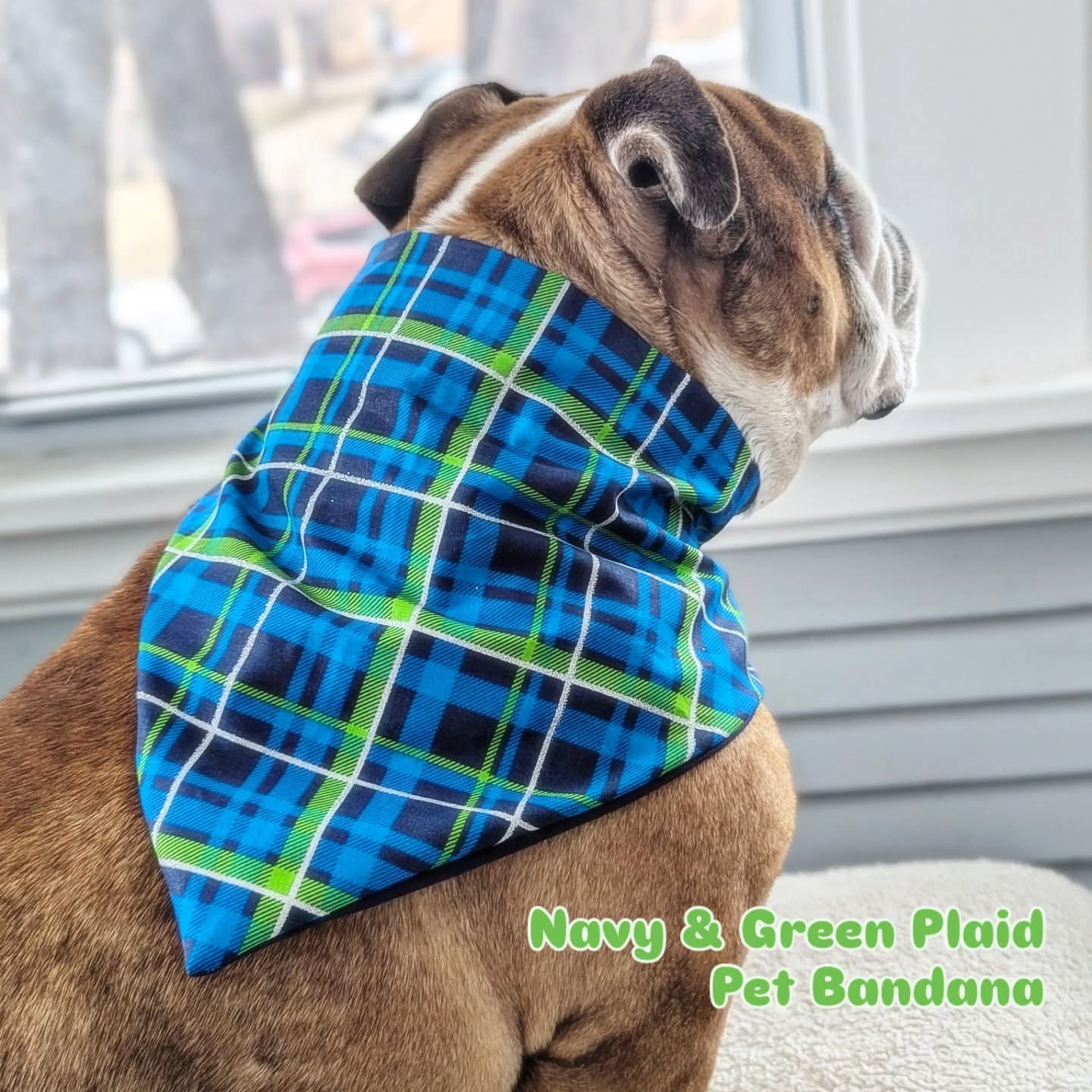 Navy & Green Plaid Pet Bandana