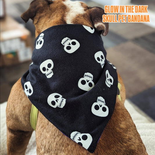Glow In The Dark Skull Halloween Pet Bandana
