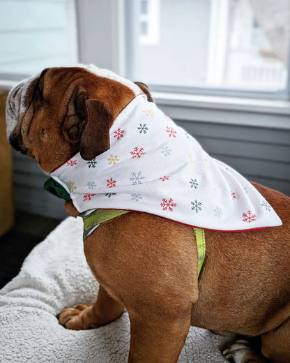 Winter Snowflake Flannel Holiday Pet Bandana