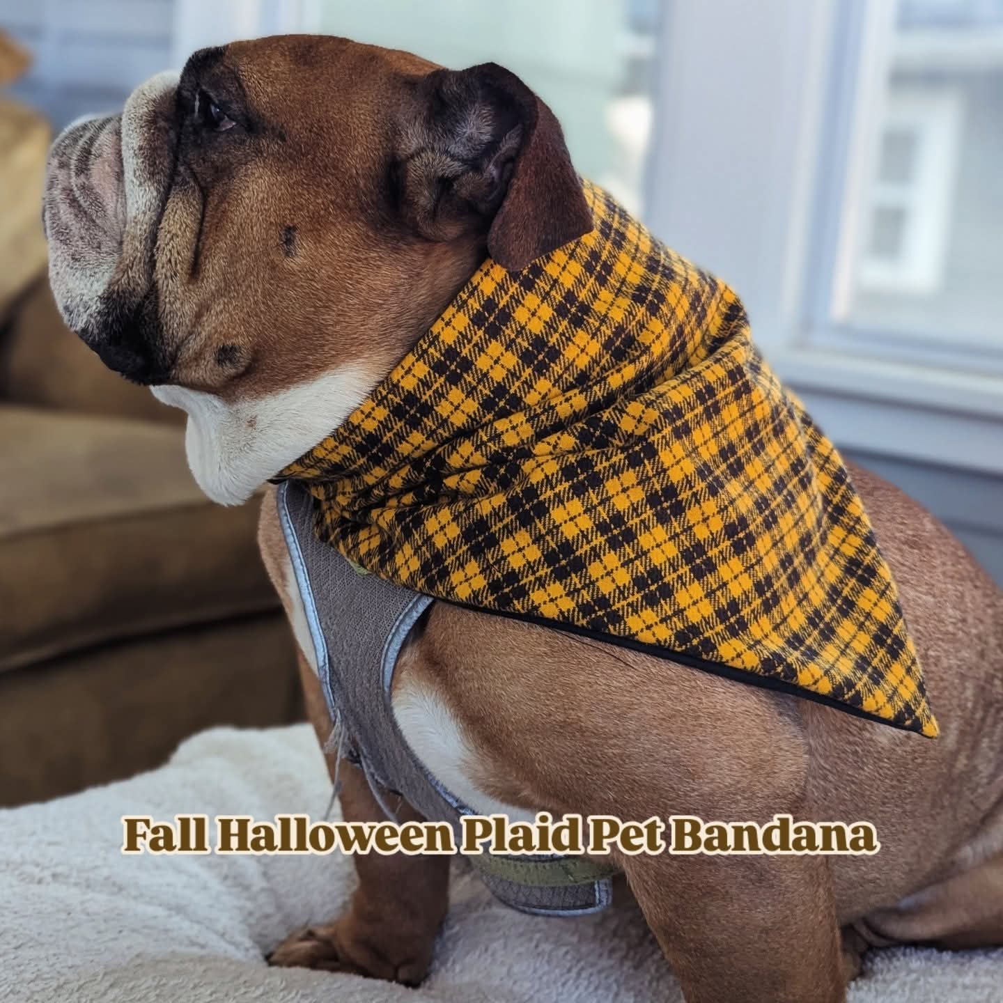 Fall Halloween Plaid Pet Bandana
