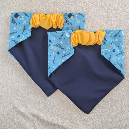 Witchy Fun Halloween Pet Bandana