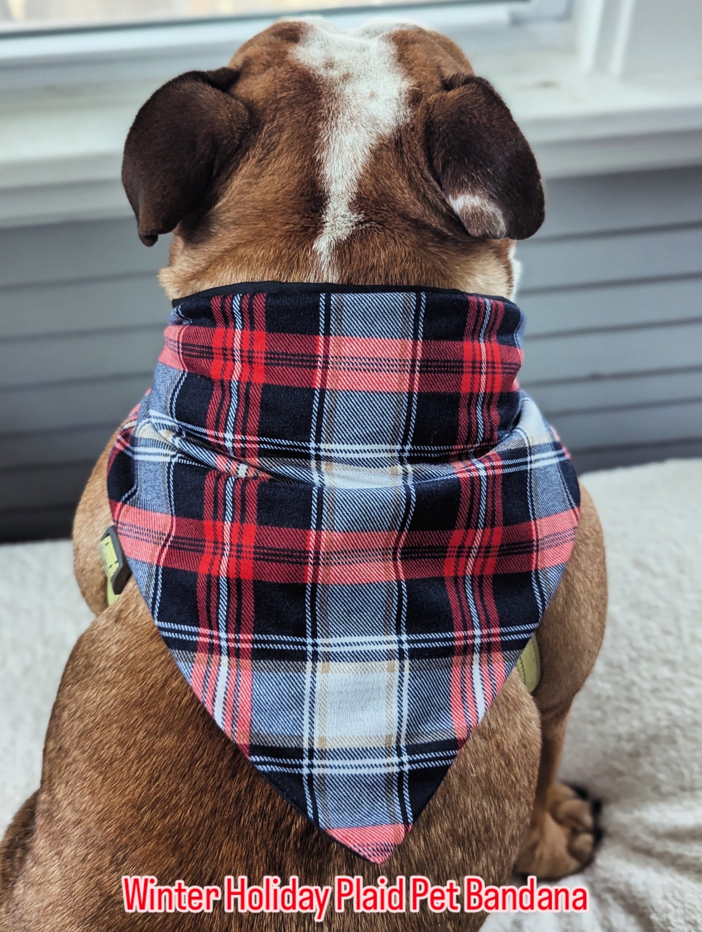 Winter Holiday Plaid Pet Bandana