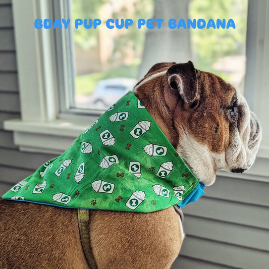 BDay Pup Cup Pet Bandana