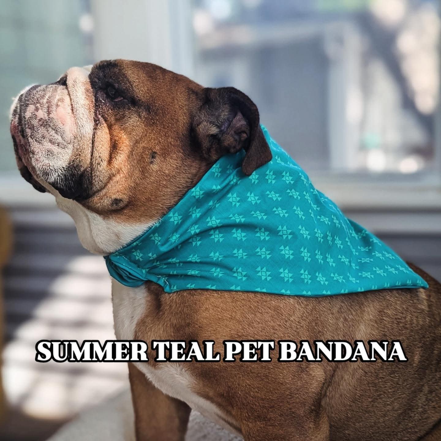 Summer Teal Pet Bandana