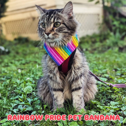 Rainbow PRIDE Pet Bandana