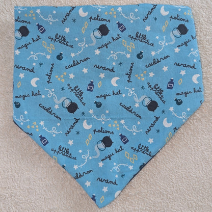 Witchy Fun Halloween Pet Bandana